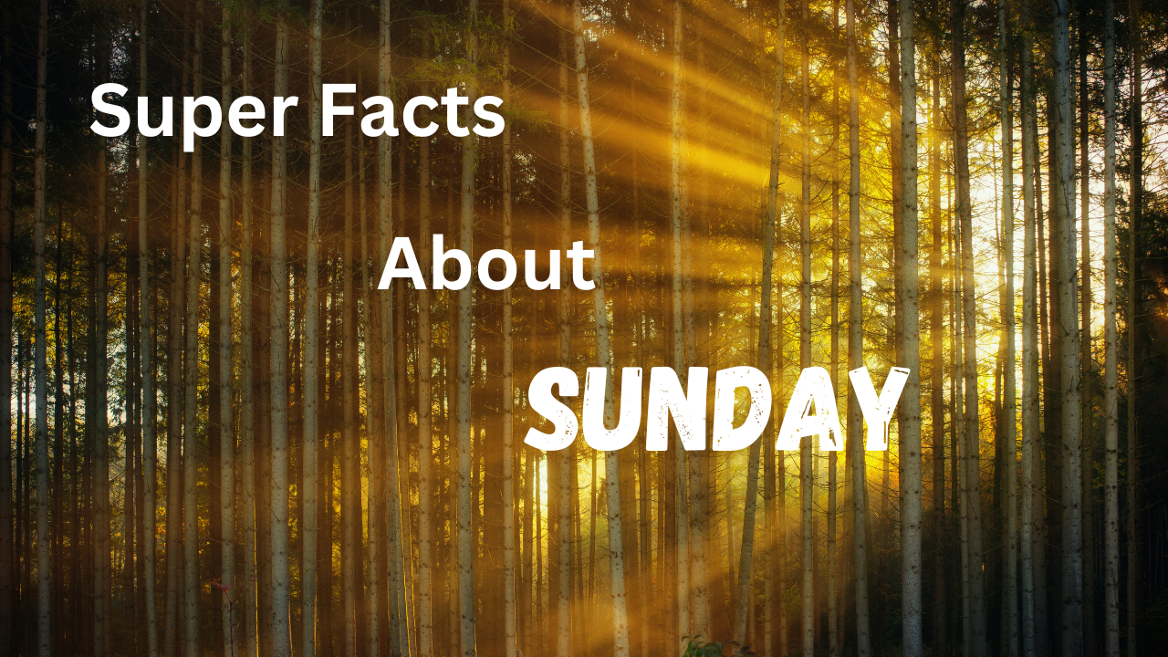 Super Facts about Sunday