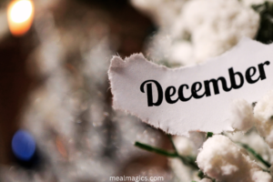 Surprising Fun Facts About December