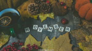 10 Surprising Fun Facts About November